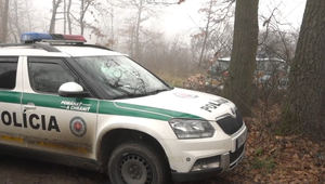 Tragický koniec rozsiahleho pátrania: Nezvestnú staršiu ženu našli po štyroch dňoch v lese mŕtvu