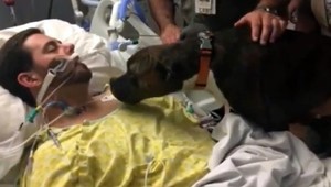 DOJÍMAVÉ VIDEO. Pes sa rozlúčil s umierajúcim pánom