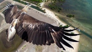 Orol, ohňostroj, vodopády. Najlepšie fotografie bezpilotných lietadiel