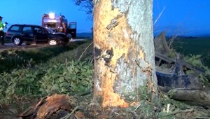 Cesta smrti medzi Spišskou Belou a Podolíncom bude mať menej stromov