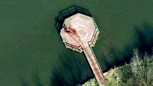 Vražda, lov alebo mokrý pes? Google zrejme zachytil vraždu