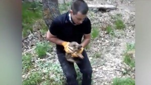 VIDEO: Záchrana diviaka z historickej studne. Po 800 rokoch ju teraz zabezpečili