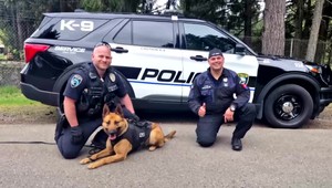 Slovenskí psy v USA žali úspech: Predviedli sa psy z Bratislavy aj Dunajskej Stredy