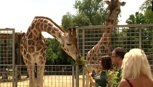 Bratislavská ZOO má smelé plány. Chce byť kontaktnejšou