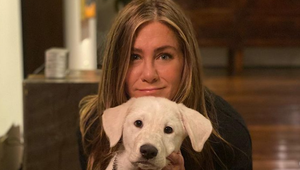 Krásna seriálová Rachel to prepískla! TOTO jej fanúšikovia len tak neodpustia!