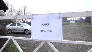 V dedine sa u psov vyskytla nebezpečná besnota. Naše úrady vyhlásili mimoriadne opatrenia