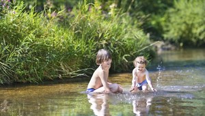 Jedovaté sinice na Zemplínskej šírave, hygienici neodporúčajú kúpanie