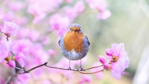 Jar udrela naplno a s ňou aj alergie: 7 trikov, ako si uľaviť od nepríjemných prejavov