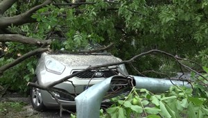 Ničivé búrky: Sila vetra vzala strechu univerzity, strom spadol aj na auto