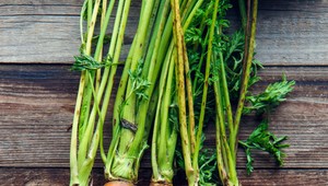 7 faktov a mýtov o očiach: Prečo je dobré krútiť očami a treba jesť mrkvu pre dobrý zrak?