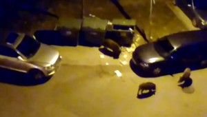 VIDEO: Problém s diviakmi na sídlisku neutícha. Mesto má ale ďalšie riešenie