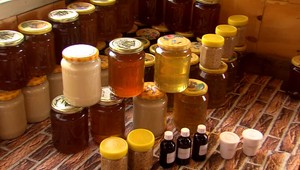 Po masívnom úhyne včiel a katastrofálnom roku majú včelári dobré správy