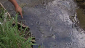 Šiel po drevo, no okamžite musel volať policajtov. V okolí Medzilaboriec nachádzajú nebezpečné predmety