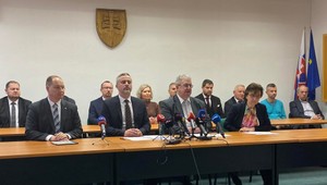 Referendum o zmene ústavy je neplatné. Zúčastnilo sa 27,25 percent voličov