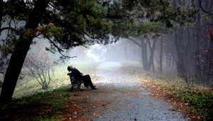 V noci klesli teploty pod nulu, víkend bude chladný a zamračený