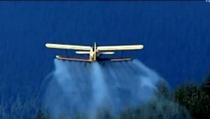 Lesy SR plánujú letecký postrek proti motýľom. Nebezpečný môže byť aj pre ľudí