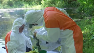 Na západe Slovenska sa situácia vymkla z rúk. O pomoc v boji proti komárom žiadajú starostovia štát