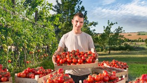 Slováci nakupujú viac slovenskej zeleniny a ovocia ako vlani