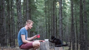 Odvážlivci a podnikatelia - poďakujte sa mačkám!