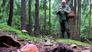 Hubári chodia aj do zakázaných zón. Pokút sa neboja!