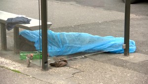 Pri pátraní po nezvestnej novinárke našli ženské torzo