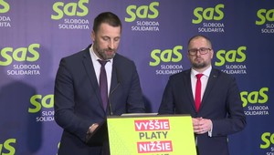 SaS: Slovensko stavia diaľnice výrazne drahšie ako susedia, môže prísť o veľké príležitosti