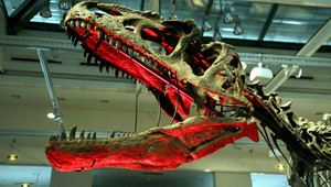 Vedci objavili kostru nového dinosaura
