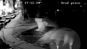 Deti prepadli 39 ročného muža. Násilím ho vsotili do dvora a okradli