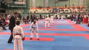 Súťažiaci z viacerých krajín si zmerali sily v karate