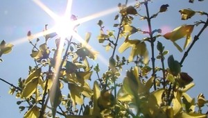 Predpoveď počasia. Takto bude na Slovensku, ale aj v Chorvátsku