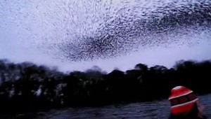 Miesto oblohy čierne vlnenie! Dievčatá nakrútili ohromujúce video