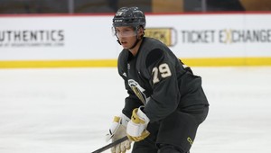 Pekarčík skóroval, Kmec s prvým gólom v AHL