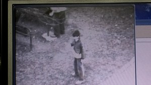 V Dolnom Kubíne pes dohrýzol chlapca