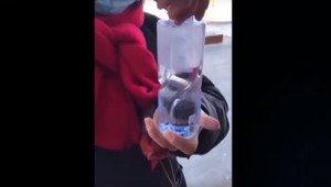 Voda v plastovej fľaši sa o pár sekúnd zmení na ľad, keď žena otvorí uzáver. Ako je to možné?