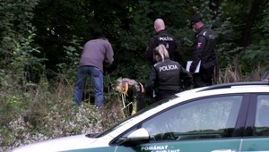 Strašný nález vedľa chodníka: Okoloidúci objavili mŕtve telo. Bolo v kríkoch zakryté kobercom