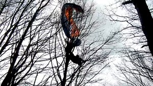 Paraglajdista visel na strome. Zachytil sa po nekontrolovanom páde