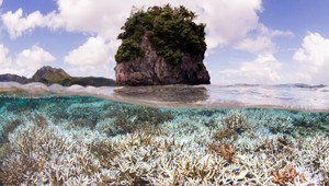 Muž zomrel na následky smrteľnej baktérie v mori: Nejde o prvý prípad