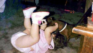 Pes zabil v byte batoľa (†1,5). Jeho matka sa zrútila