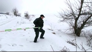 Zdochliny zvierat boli pohodené neďaleko domov. Pátrajú po páchateľovi