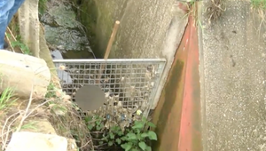 Vybrali sa čistiť odpadový kanál a vidlami hneď narazili na ľudskú lebku. Robotníci v Humennom okamžite privolali policajtov