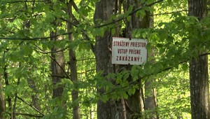 Ministerstvo zakázalo verejnosti vstup do vojenských lesov, v záujme bezpečnosti štátu