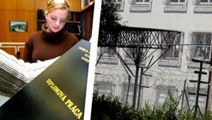 Pre ťaháky do basy! Podvádzanie bude trestné