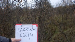 #AllForJan: Ako firma po Vadalovom príchode začala podvádzať