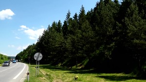 Policajti upozorňujú: Medveďa, ktorý ohrozoval ženu, stále neodchytili