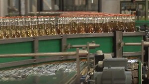 Belgický jablčný nápoj: CIDER