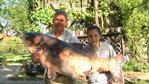 Na Záhorí chytilo dievča (10) obrovského tostolobika