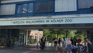 Vdova darovala ZOO 22 miliónov dolárov. Stojí za tým silný príbeh