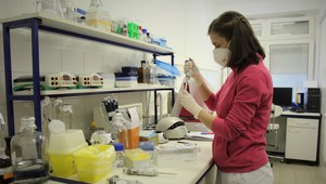 V morských hubách našli zlúčeniny, ktoré úplne zastavujú infekciu kovidu v bunkách