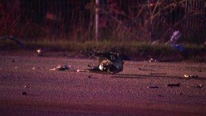 Kollárova nehoda: Súd potvrdil nevinu vodiča, zrážku spôsobila limuzína