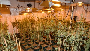 FOTO: Muž si sám vyrobil zariadenie na pestovanie drog